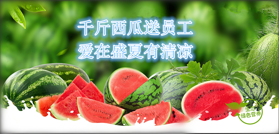 通達(dá)軟件公司： 千斤西瓜送員工，愛在盛夏有清涼